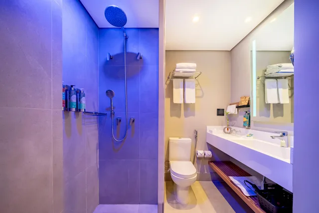 شقة تنفيذية بإطلالة على المتنزه بغرفة نوم واحدة، Grand Mercure SP Itaim Bibi 5/5