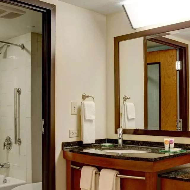 غرفة بسرير كينج مع أريكة، Sonesta Select Atlanta Duluth 13/14