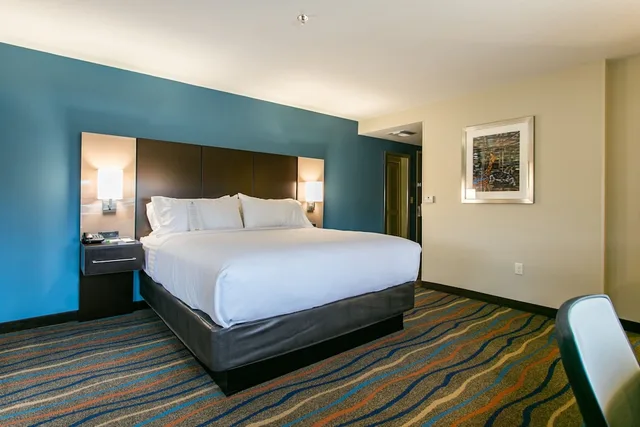 غرفة قياسية بسرير كينج لذوي الإعاقة، Holiday Inn Hotel & Suites CHATTANOOGA DOWNTOWN 2/2