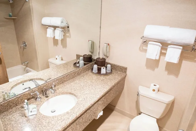 جناح بسرير كينج بغرفة نوم واحدة، Ann Arbor Regent Hotel Suites 1/1