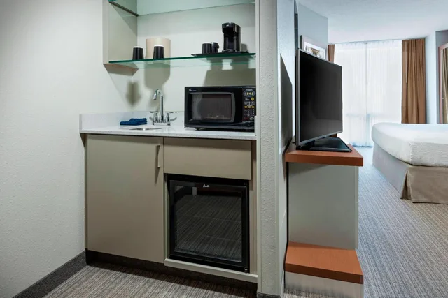 استوديو بسرير كينج بإطلالة على المدينة مع أريكة في طابق مرتفع، Springhill Suites Chicago Downtown River North 3/10