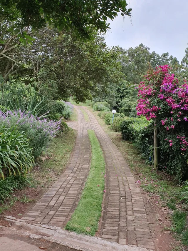 Lind End Guest Farm، Tzaneen 26/29