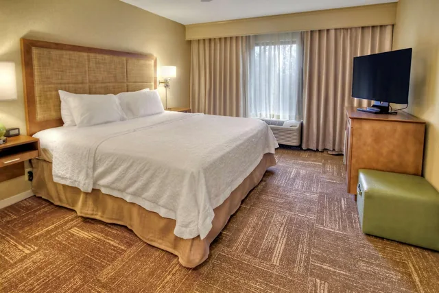 1 Bedroom, Suite, King Bed, Sofa, Hampton Inn Suites Asheville I 26 2/5