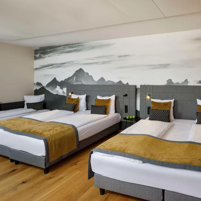 غرفة عائلية بسرير فردي، Hotel Allegra Lodge 1/8