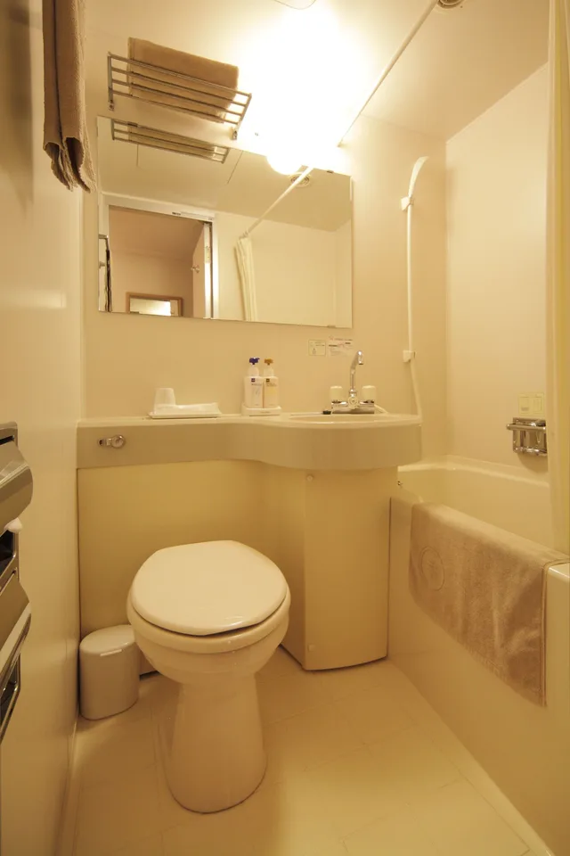 Room, Single, Smoking, Park Hotel Kani 8/8