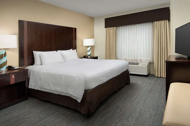 Room, King Bed, Accessible, Hampton Inn Suites Alpharetta Ga 1/2