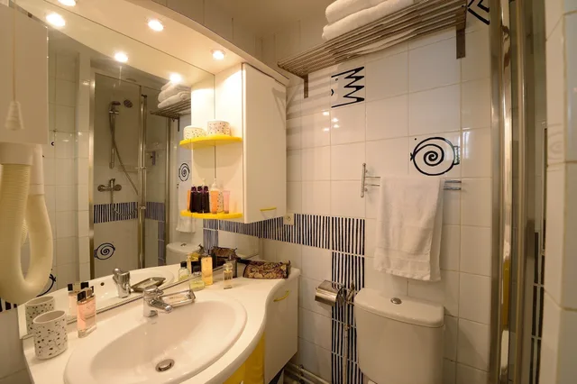 Gold, Studio, Double Bed، Les Patios Du Marais 4/4