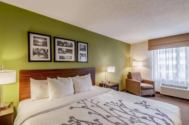 Suite, King Bed, Sleep Inn and Suites Harrisonburg Near University 1/5