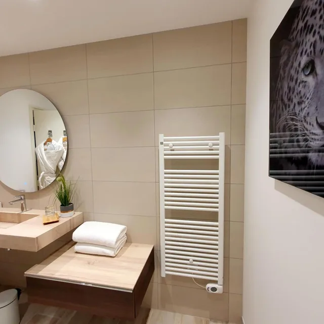 Family, House, Double or Twin Bed, Annex، La Cote Saint Jacques And Spa 8/9