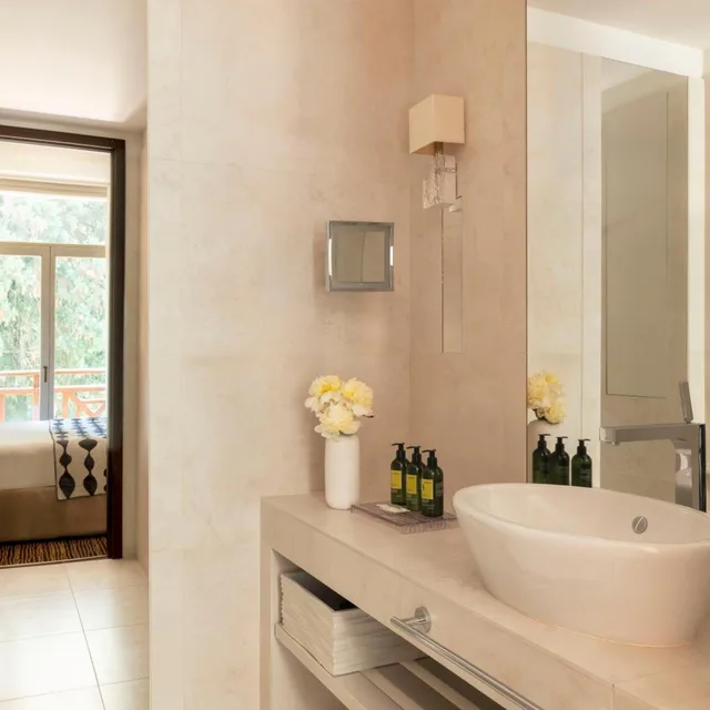 جناح جونيور بسرير كينج، Hotel Ermitage Evian Resort 6/10
