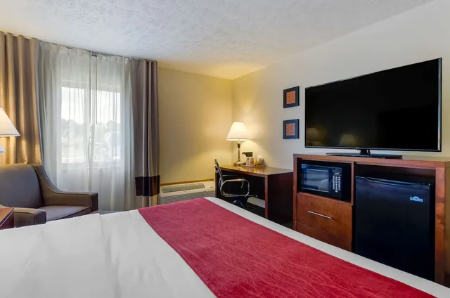Room, King Bed, Accessible, Comfort Inn Atkins 1/3