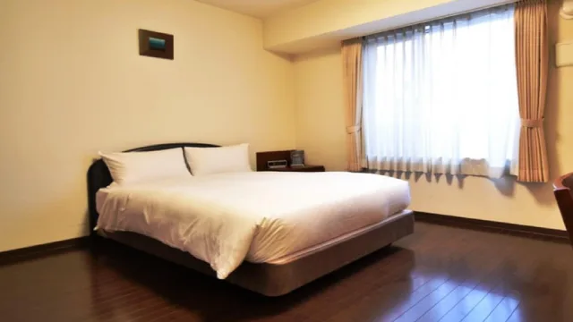 Semi Room, Standard, Double Bed, No View, Small, Smoking، Hotel Hakata Place 1/1