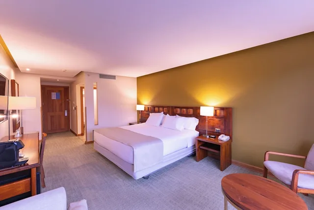 غرفة قياسية بسرير كينج، Wyndham Puerto Varas Pettra 6/8