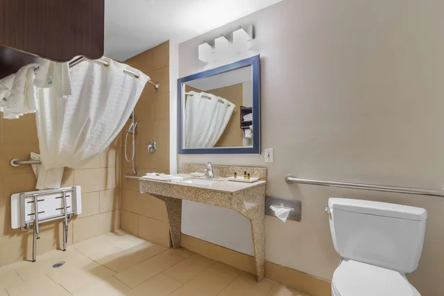 غرفة بسرير كينج مع أريكة، Best Western Plus McDonough Inn & Suites 8/8