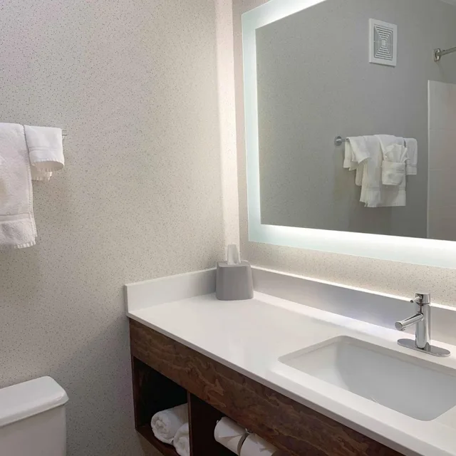 غرفة قياسية بسرير مزدوج، Holiday Inn Express Danville 2/2