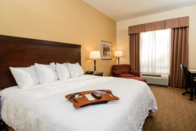 Studio, King Bed, Sofa, Accessible, Hampton Inn Victoria 1/2