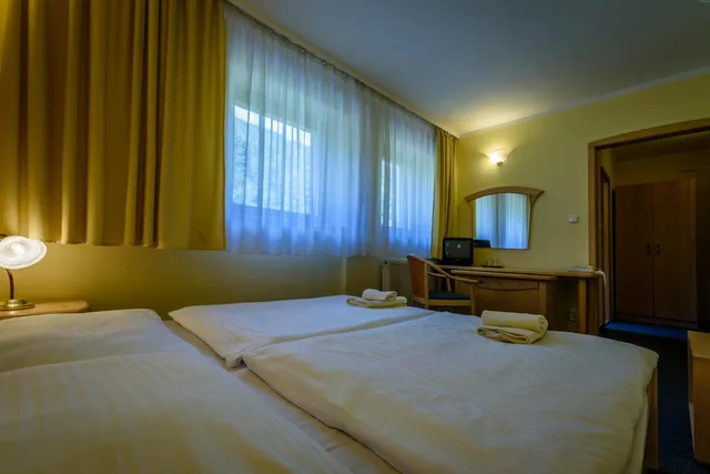 غرفة بسرير مزدوج أو سريرين منفصلين، Hotel Boboty 3/9