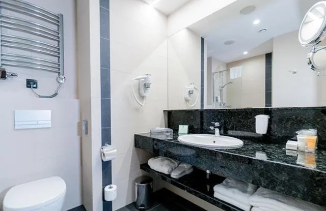 غرفة بريميوم بسرير فردي، HOLIDAY INN DABROWA GORNICZA 8/8