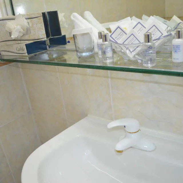 غرفة بسرير كينج بإطلالة على البحيرة، The Congress Plaza Hotel 7/7