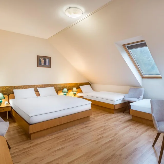 غرفة قياسية بسرير فردي، Platan Hotel 1/7