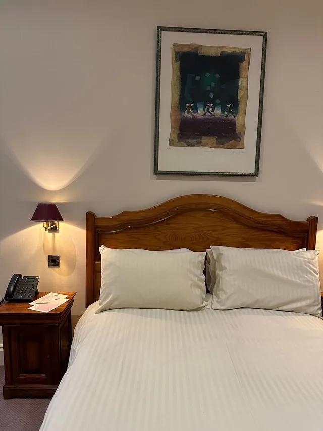 غرفة ديلوكس بسرير مزدوج، Regency Hotel 1/2