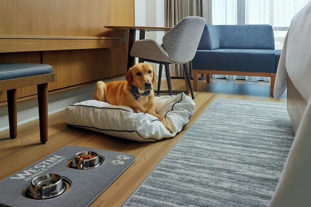 غرفة بريميوم بسرير كينج، The Westin Huntsville 7/10