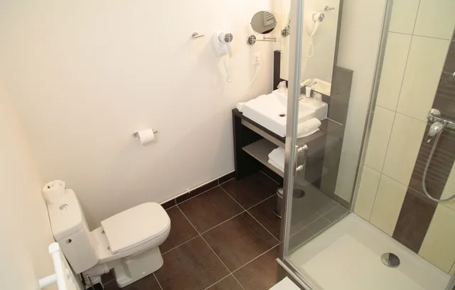 1 Bedroom, Apartment, Balcony, Appart hotel Odalys City Colmar Centre 3/3