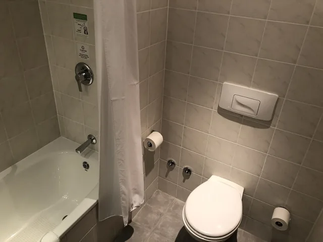 غرفة ديلوكس عائلية بسرير مزدوج وسرير فردي، Clayton Hotel Leopardstown 8/9