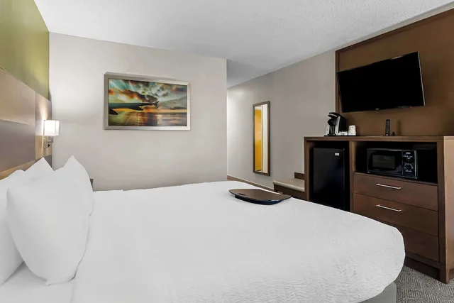 غرفة قياسية بسرير كينج لذوي الإعاقة، Best Western Niceville - Eglin AFB Hotel 3/7