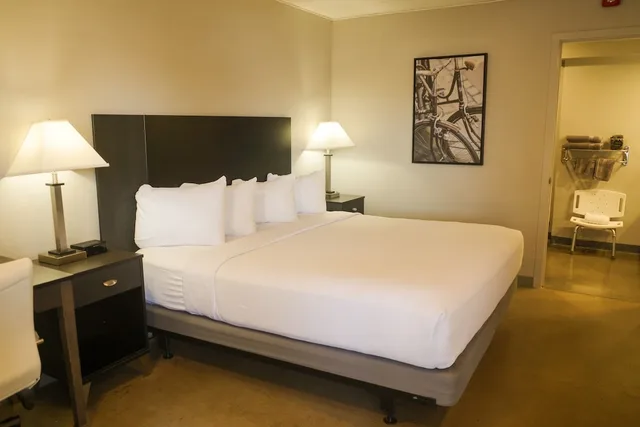 غرفة بسرير كينج لذوي الإعاقة، Americana Modern Hotel 1/2