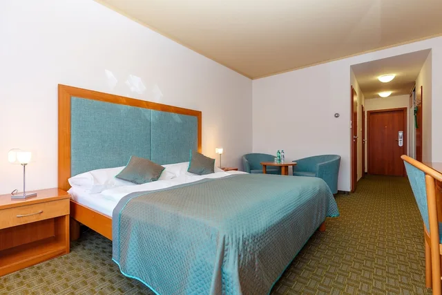 Room, Double Bed, City View, Balcony, Hotel Thermal 2/6