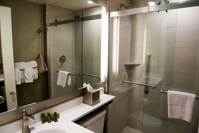 جناح بسرير كينج، Hotel Alex Johnson Rapid City Curio Collection By Hilton 5/7