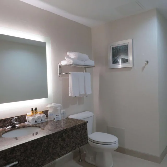 جناح بسرير كينج بمطبخ صغير، Best Western Plus Wilkes Barre-Scranton Airport Hotel 7/9