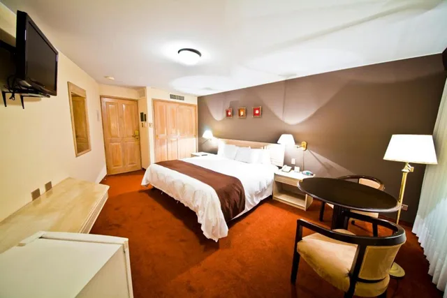 غرفة قياسية مفردة، Hotel Jose Antonio Executive 1/1