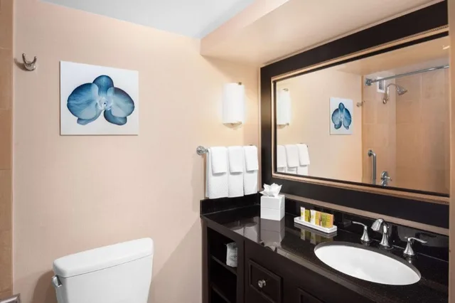 1 Bedroom, Suite, King Bed, Marina View, Parlor, Sofa، Hilton San Diego Airport Harbor 4/4