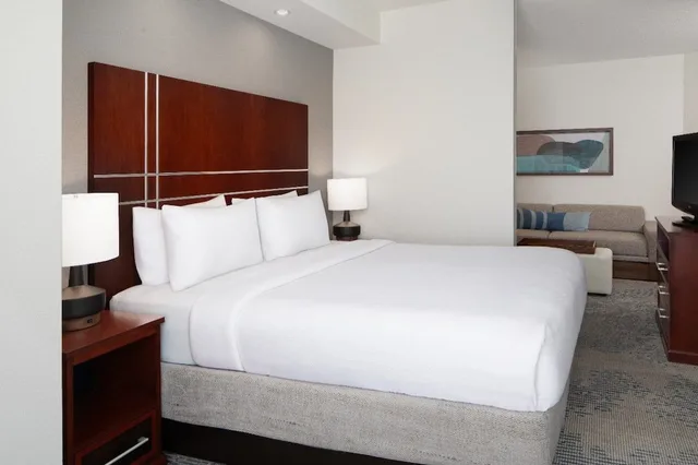 جناح بسرير كينج مع سرير سحّاب إضافي لذوي الإعاقة، Springhill Suites Pigeon Forge 1/9