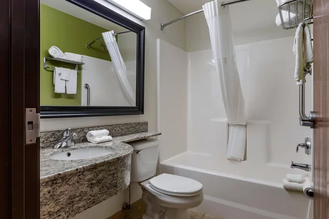 Upgrade, Efficiency, Suite, King Bed، Sleep Inn and Suites Kalamazoo, MI 4/4