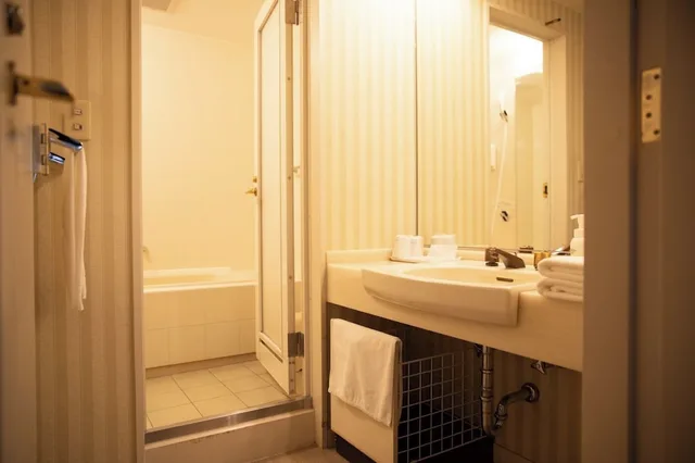 غرفة سوبيريور بسريرين منفصلين، Hotel Karuizawa Elegance 3/7