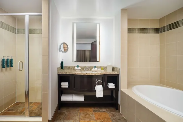 Classic, King Bed, Accessible, Hilton Richmond Hotel & Spa/Short Pump 4/8