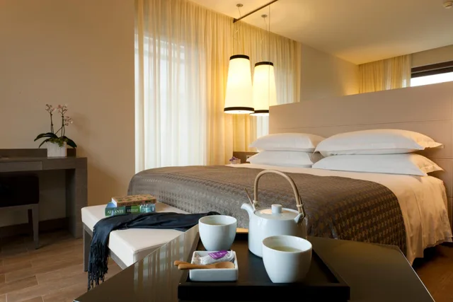 غرفة ديلوكس بسرير كينج، Starhotels E.C.Ho. 5/6
