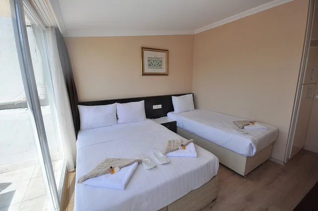 غرفة ديلوكس ثلاثية بسرير مزدوج وسرير فردي بإطلالة على المدينة، Hotel Baykal 1/4