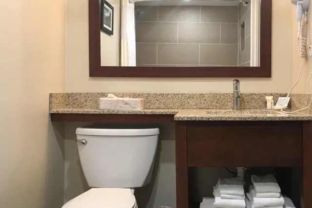 غرفة قياسية بسرير كينج، Comfort Inn Edgewater on Hudson River 8/9
