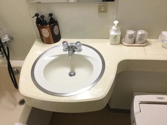 غرفة مفردة، Asahikawa Toyo Hotel 10/13