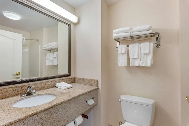 جناح بسريرين كوين لذوي الإعاقة، Comfort Inn & Suites Dover near Speedway 3/3