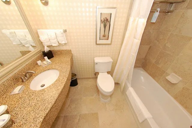 جناح بسرير كينج بغرفة نوم واحدة، Hilton Garden Inn Bowling Green 2/2