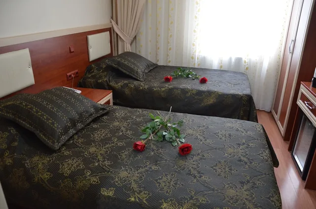 غرفة سوبيريور بسريرين منفصلين، Grand Hotel Palmiye 6/10