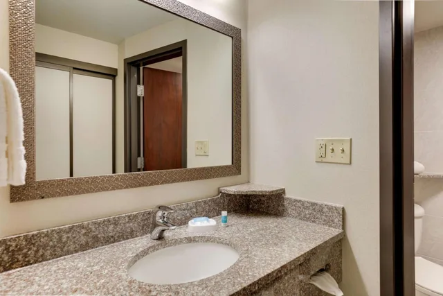 جناح بسرير كينج مع أريكة، Drury Plaza Hotel Columbus Downtown 4/4