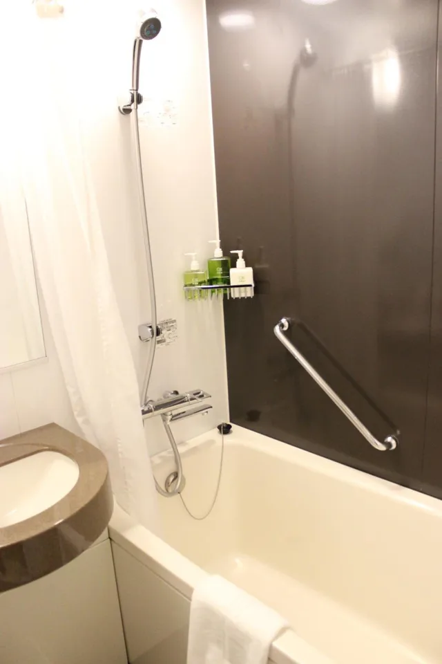 غرفة اقتصادية بسرير نصف مزدوج، Hotel Ryumeikan Tokyo 6/6