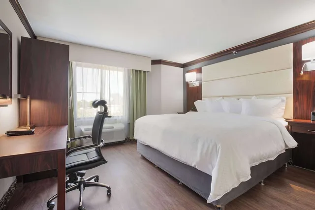 Suite, King Bed, The Leo Collection Detroit, an Ascend Collection Hotel 3/10