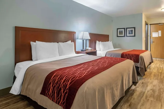 غرفة قياسية بسريرين كوين يُسمح فيها بالحيوانات الأليفة، SureStay Plus Hotel by Best Western Buffalo 2/6